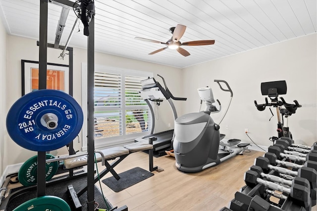 exercise area with ceiling fan and wood finished floors