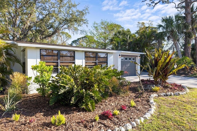 view of front of house featuring stucco siding and an attached garage