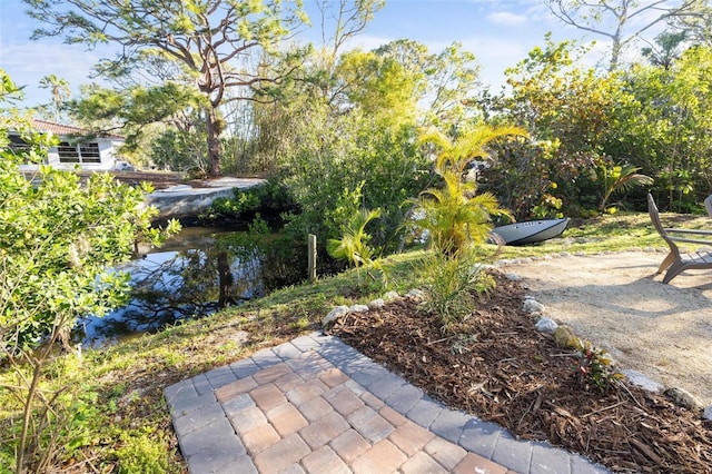 view of yard with a patio