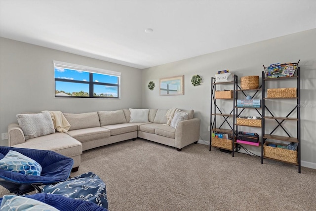 living area featuring baseboards and carpet floors