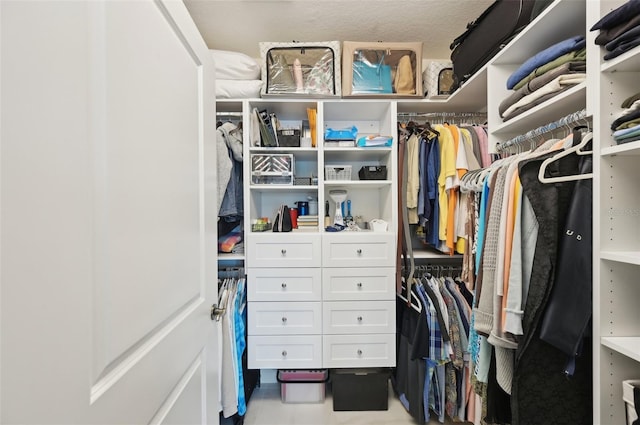 view of spacious closet