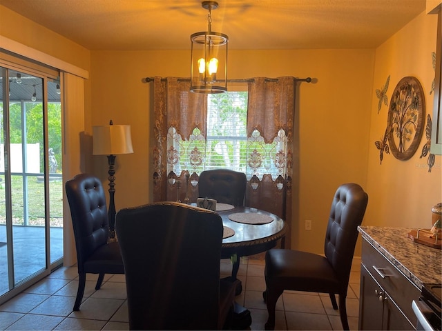 dining room with a healthy amount of sunlight