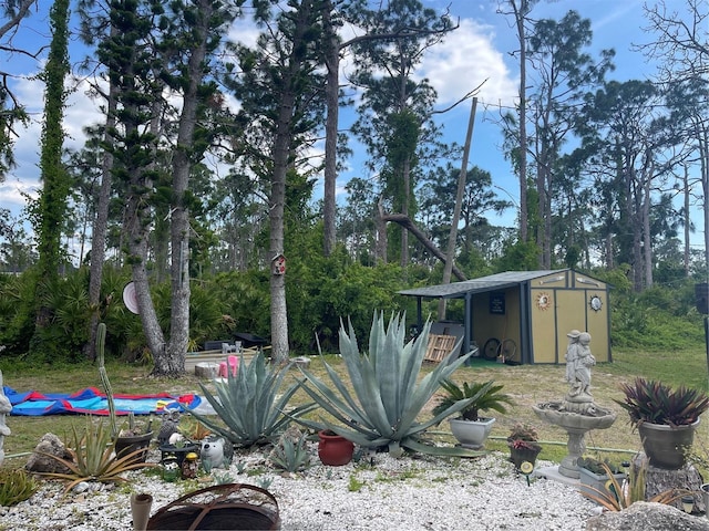 view of yard with an outbuilding and a storage unit