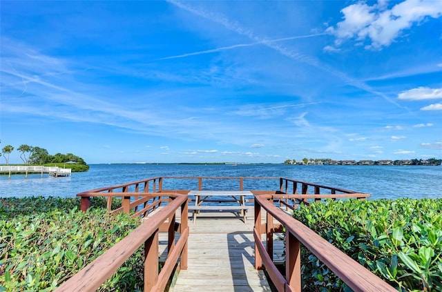 dock area with a water view