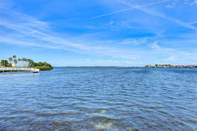 view of water feature featuring a dock