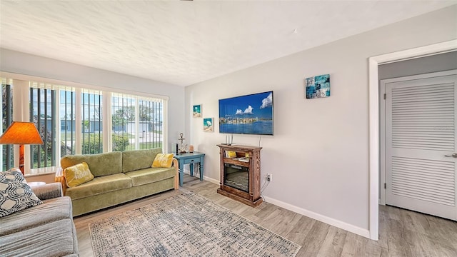 22201 Olean Blvd, Port Charlotte, FL 33952 - living area with baseboards, light wood-style flooring, and a glass covered fireplace
