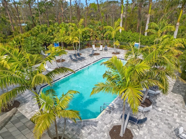 pool featuring a patio and fence