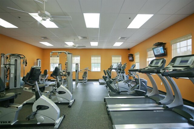 exercise room with visible vents, a drop ceiling, and ceiling fan