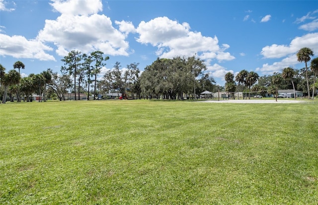 view of yard with volleyball court