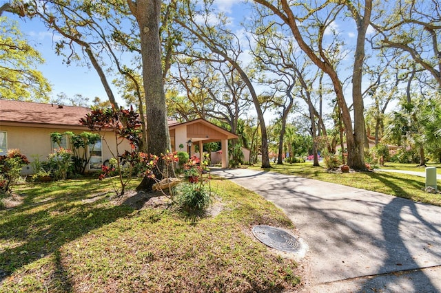 view of front of property featuring concrete driveway, a carport, a front lawn, and stucco siding