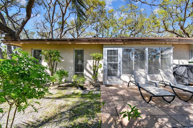 back of house featuring a patio area and stucco siding