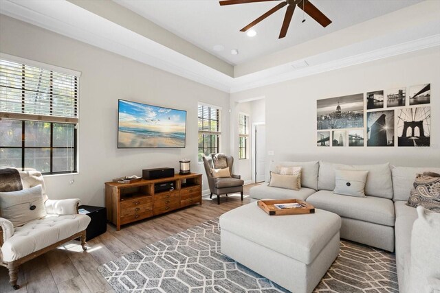 living area featuring a tray ceiling, a healthy amount of sunlight, wood finished floors, and a ceiling fan