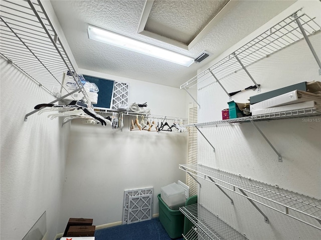 spacious closet featuring carpet floors