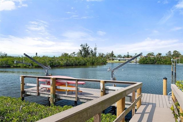 dock area with a water view