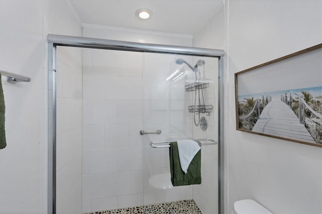 full bathroom featuring a shower stall and toilet