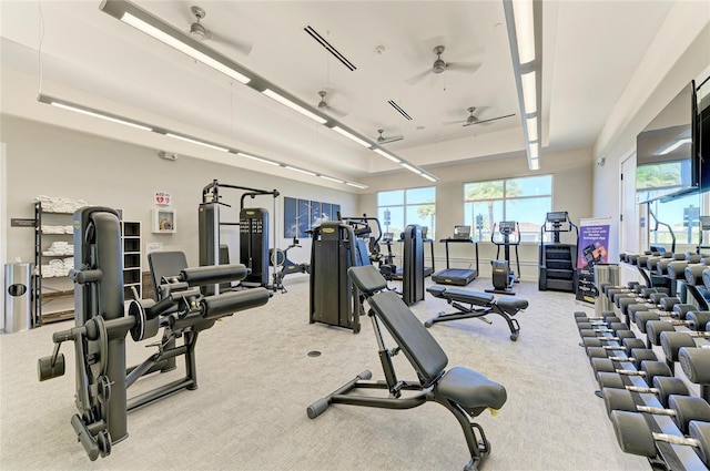 exercise room with plenty of natural light, carpet, and ceiling fan