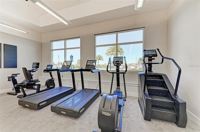 workout area featuring baseboards and carpet floors