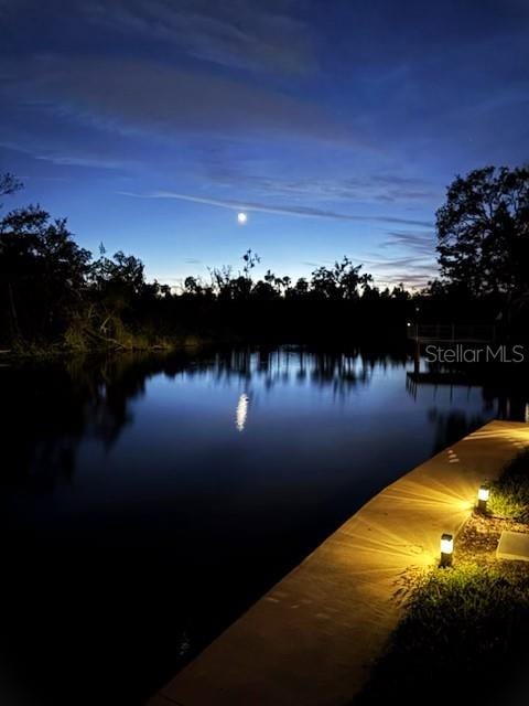 property view of water with a dock