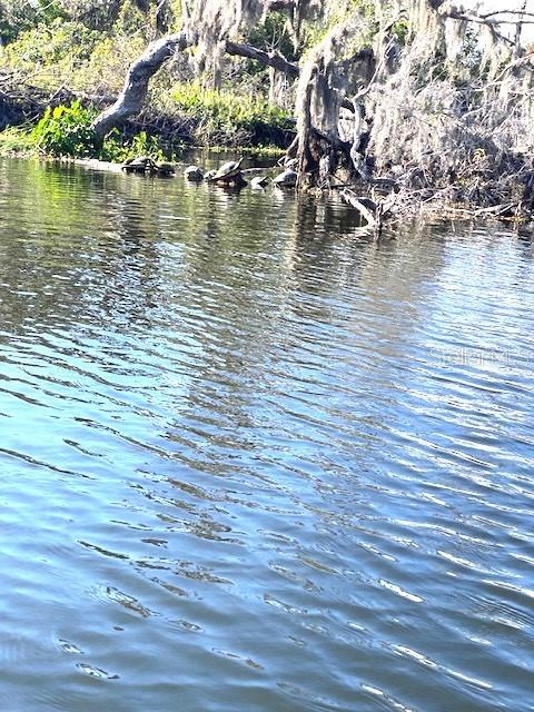 view of water feature