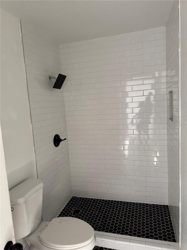 bathroom with a stall shower and toilet