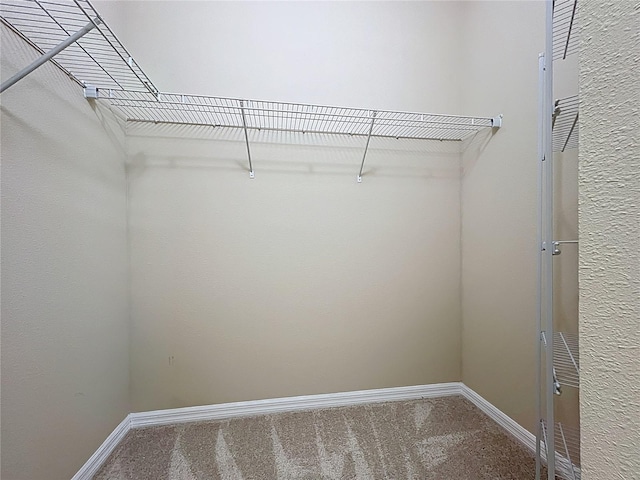 walk in closet featuring carpet