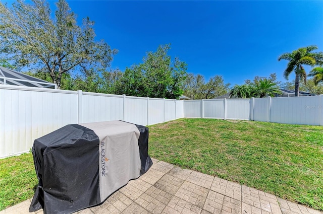 view of yard with a patio and a fenced backyard