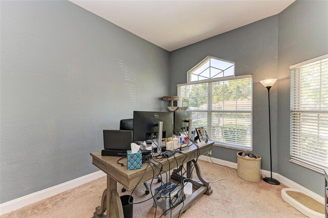 office featuring carpet and baseboards