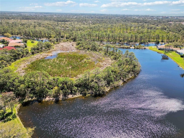 bird's eye view with a water view and a wooded view