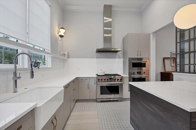 kitchen featuring gray cabinets, a sink, stainless steel appliances, crown molding, and wall chimney range hood