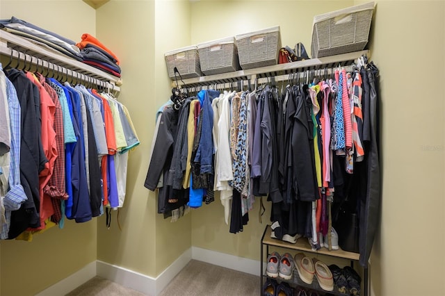 spacious closet featuring carpet floors