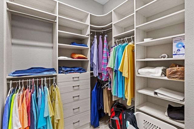 view of spacious closet