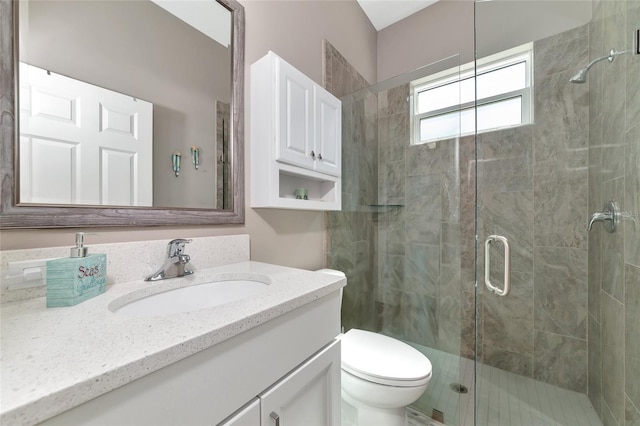 full bathroom with vanity, a shower stall, and toilet