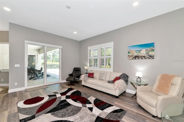 living room with wood finished floors, a healthy amount of sunlight, and baseboards