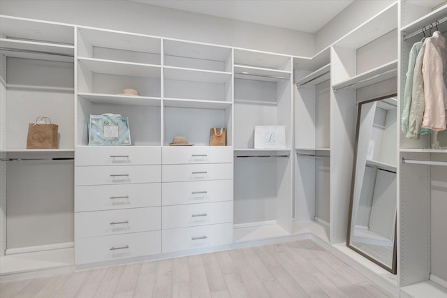 walk in closet featuring light wood-style flooring