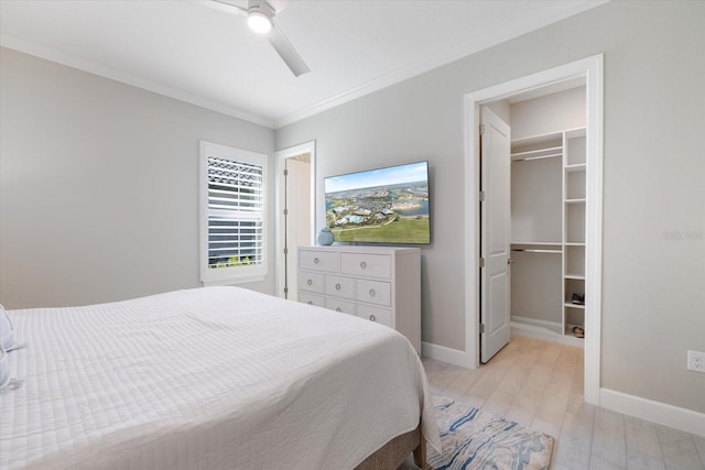 bedroom featuring a walk in closet, ornamental molding, light wood finished floors, baseboards, and ceiling fan