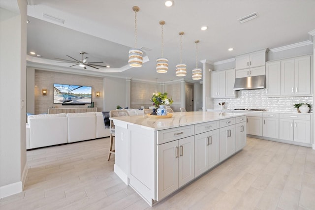 kitchen with under cabinet range hood, open floor plan, decorative backsplash, white cabinets, and a raised ceiling