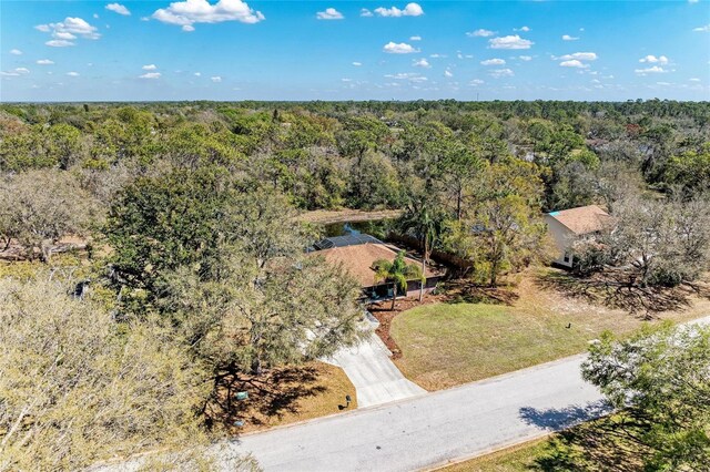 1127 133rd St E, Bradenton, FL 34212 - bird's eye view featuring a view of trees