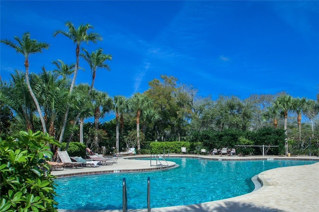 pool featuring a patio area