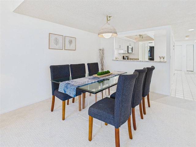 dining area with light colored carpet