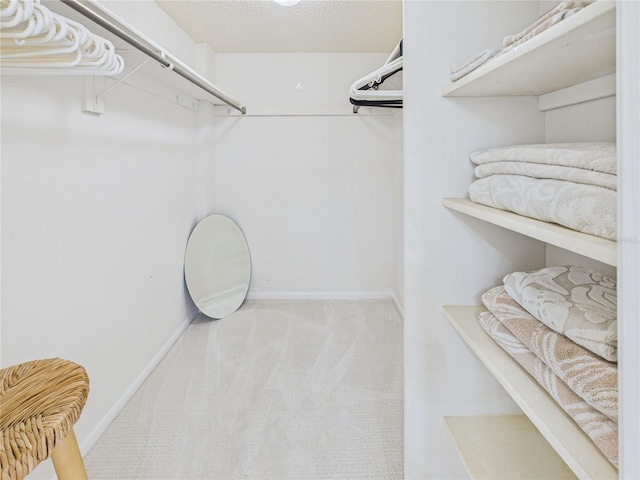 spacious closet featuring carpet