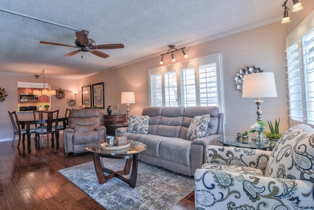 living area featuring crown molding, dark wood-style flooring, and a textured ceiling