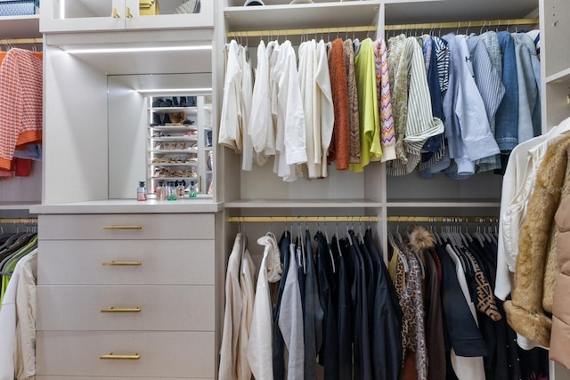 view of spacious closet