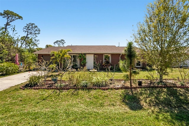 ranch-style house featuring concrete driveway, a garage, a front lawn, and stucco siding