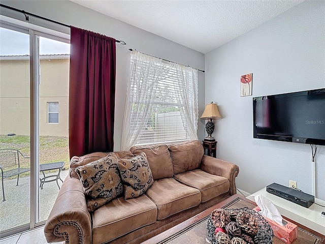 living room featuring a textured ceiling