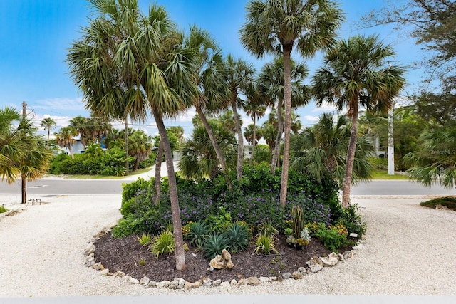 surrounding community featuring driveway