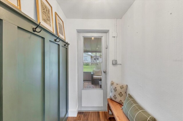 mudroom featuring wood finished floors