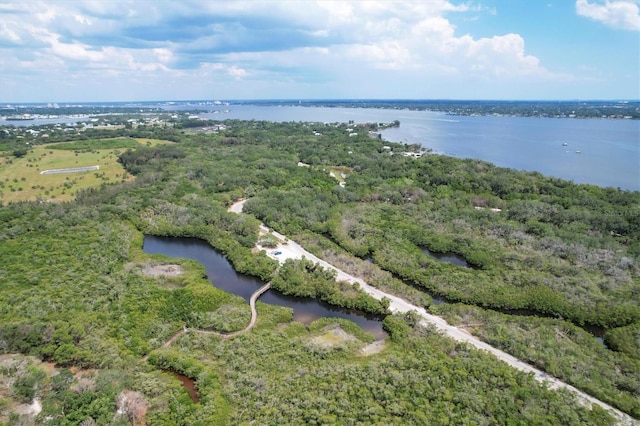 aerial view featuring a view of trees and a water view