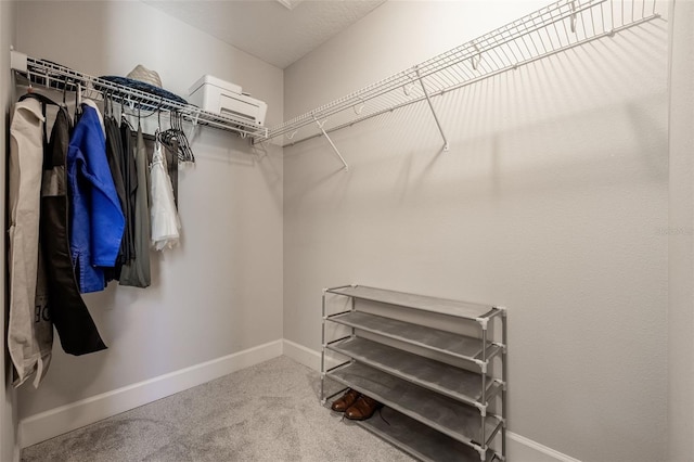 walk in closet with carpet floors