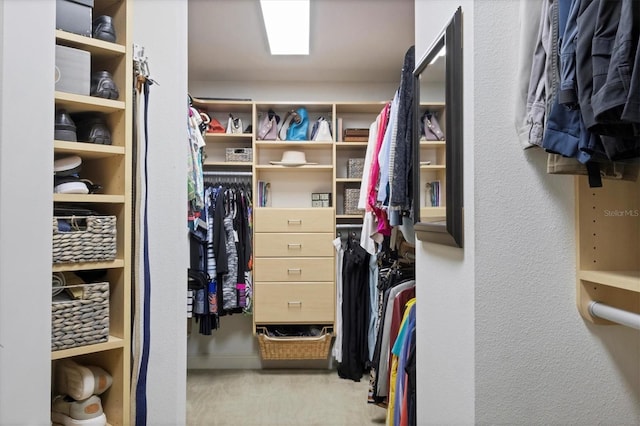 810 Siesta Dr, Sarasota, FL 34242 - view of spacious closet