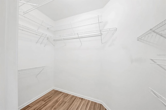 walk in closet with wood finished floors